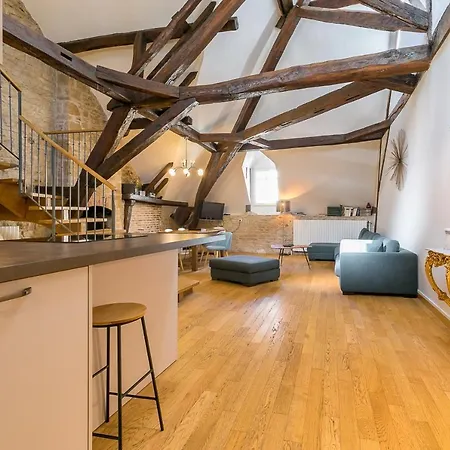 Le Mucie*****loft Au Centre De Dijon